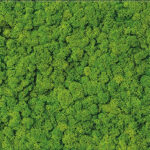 Cersanit Fresh Moss Glass Inserto dekorcsempe 29.8x59.8