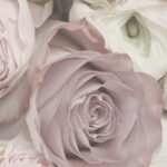Ceramika Color Glamour Flower A falicsempe 25x75