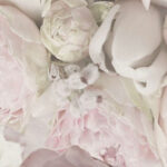 Ceramika Color Glamour Flower B falicsempe 25x75