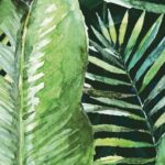 Konskie Braga Tropic A Inserto 25x75 dekorelem