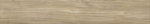 Ascot Natural Olmo fahatású padlólap 20x120