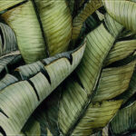 Paradyz Natura Uniwersalne Inserto Szklane Leaf B Üvegdekor 30x60