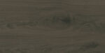 Domino Pietra Aurea Wood 30,8x60,8 falicsempe